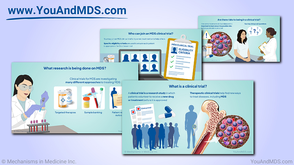 Understanding Clinical Trials in Myelodysplastic Syndromes (MDS)