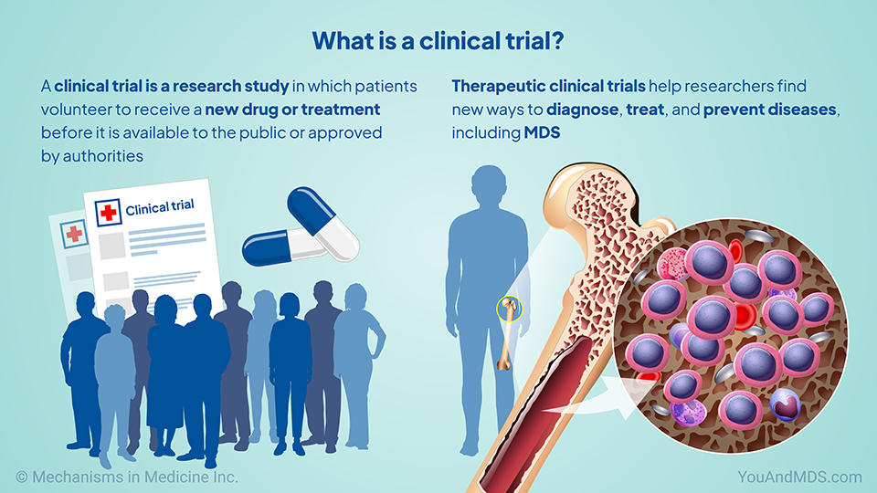 What is a clinical trial?