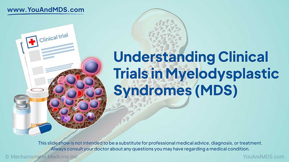 Understanding Clinical Trials in Myelodysplastic Syndromes (MDS)