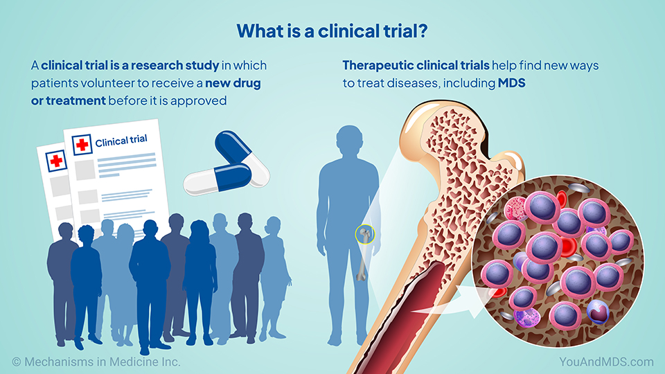 What is a clinical trial?