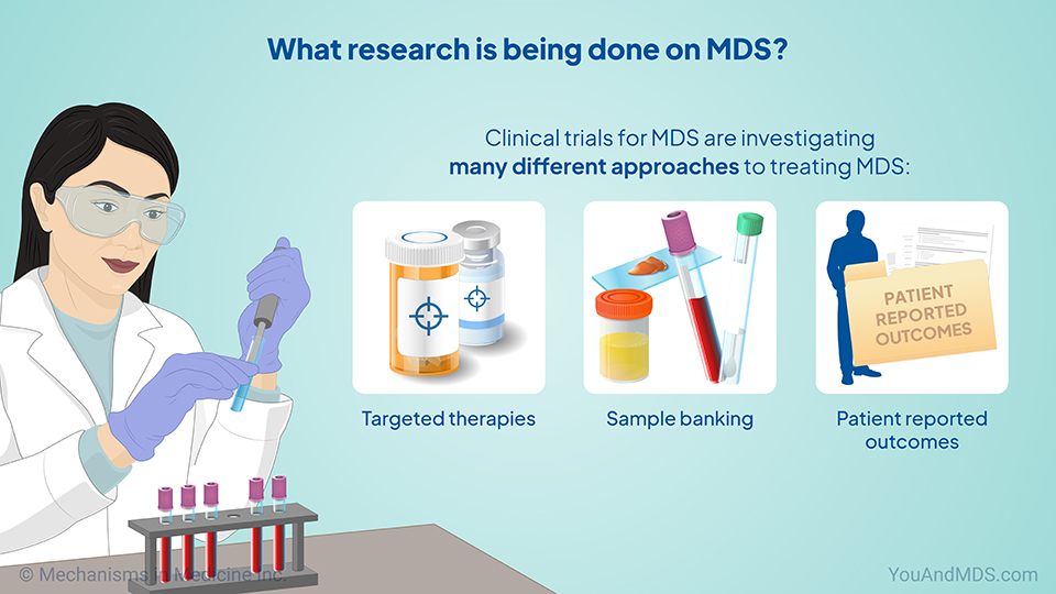 What research is being done on MDS?